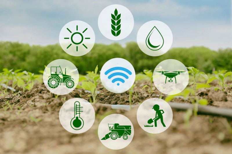 ระบบควบคุมอัตโนมัติทางการเกษตร  / Automatic Control System for Agriculture