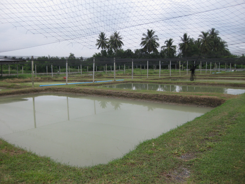 การจัดการฟาร์มเพาะเลี้ยงสัตว์น้ำ / Farm Management for Aquaculture
